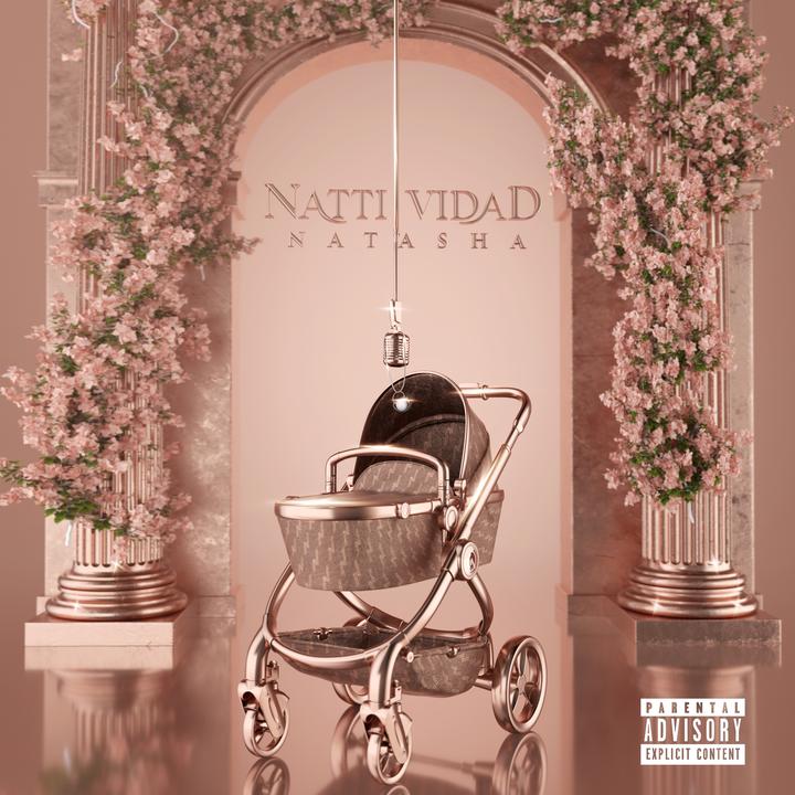 LA FALTA QUE ME HACES 歌词 NATTI NATASHA的歌曲 下载 汽水音乐