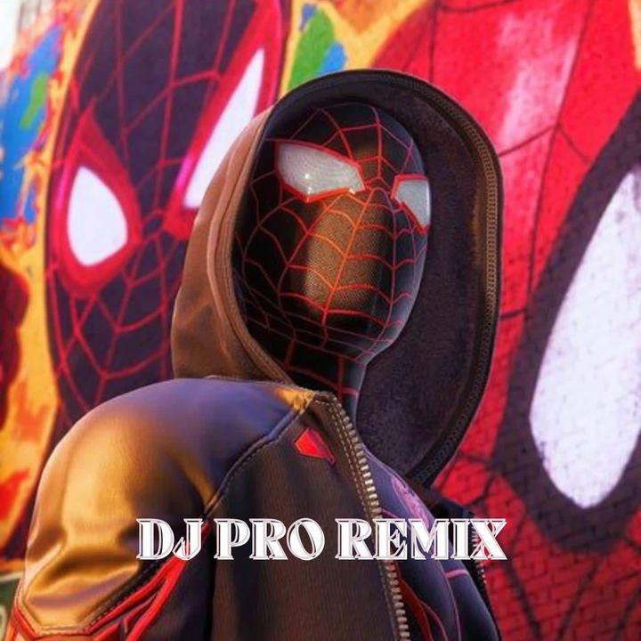 DJ Lembah yang berwarna cinta sejati 歌词 DJ PRO REMIX的歌曲 下载 汽水音乐