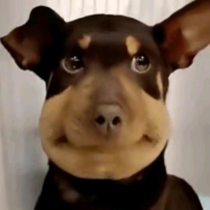 张雨涵迪奥你玛的骗老子感情