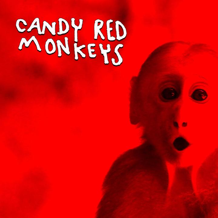 Den Nakna Sanningen_歌词_Candy Red Monkeys的歌曲_下载-汽水音乐