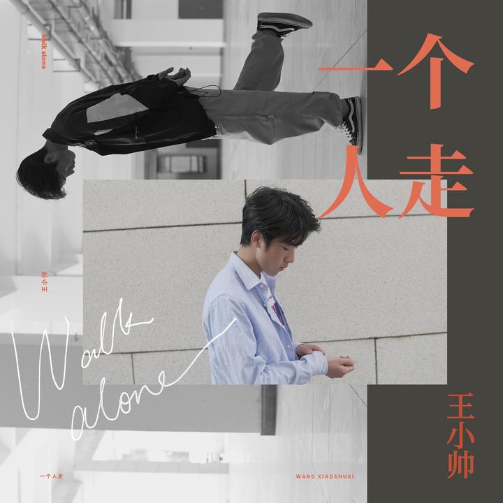 觉悟(DJ版)_歌词_王小帅的歌曲_下载-汽水音乐