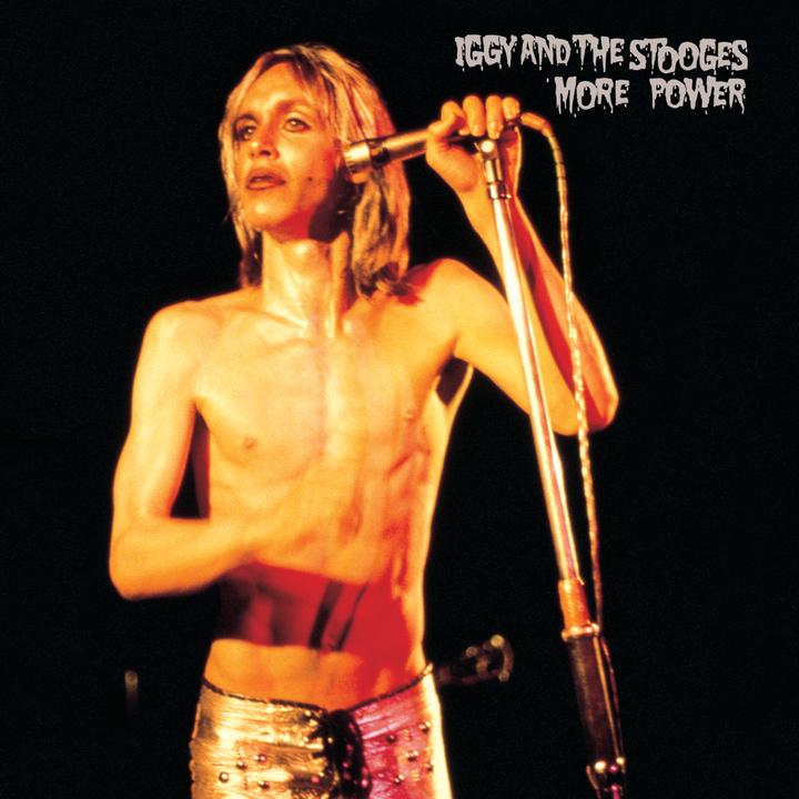 Money That s What I Want Iggy Pop The Stooges money-that-s-what-i-want-iggy-pop-the-stooges