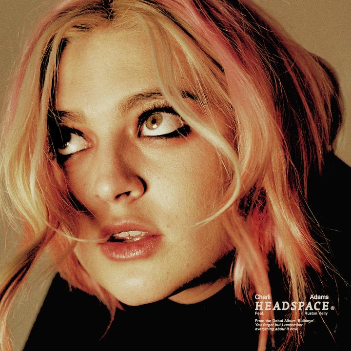 Cloverland Drive_歌词_Charli Adams的歌曲_下载汽水音乐