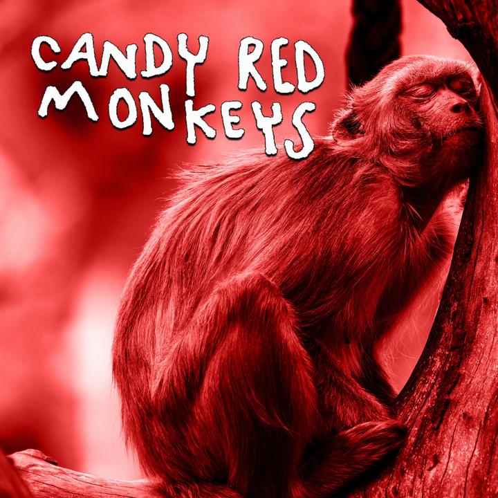 Den Nakna Sanningen_歌词_Candy Red Monkeys的歌曲_下载-汽水音乐