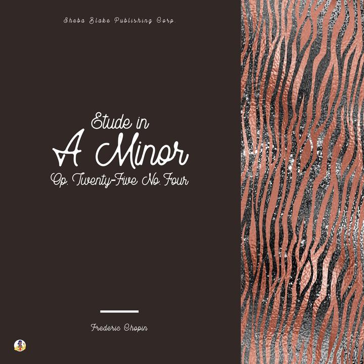 Piano Sonata in B Flat Minor 'funeral March', No. 2 Op. 35 Iii