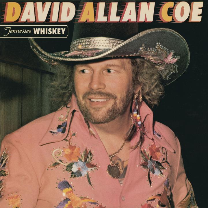 The Ride (live At Billy Bob's Texas, Forth Worth, Tx) 歌词 David Allan 