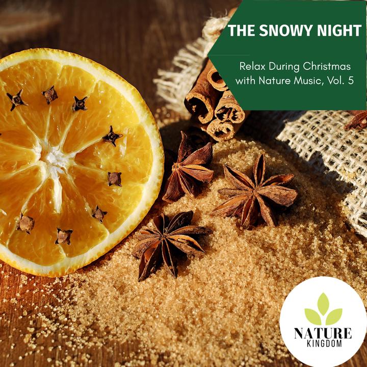 Mountain Insects_歌词_Lisa Wilson的歌曲_下载-汽水音乐