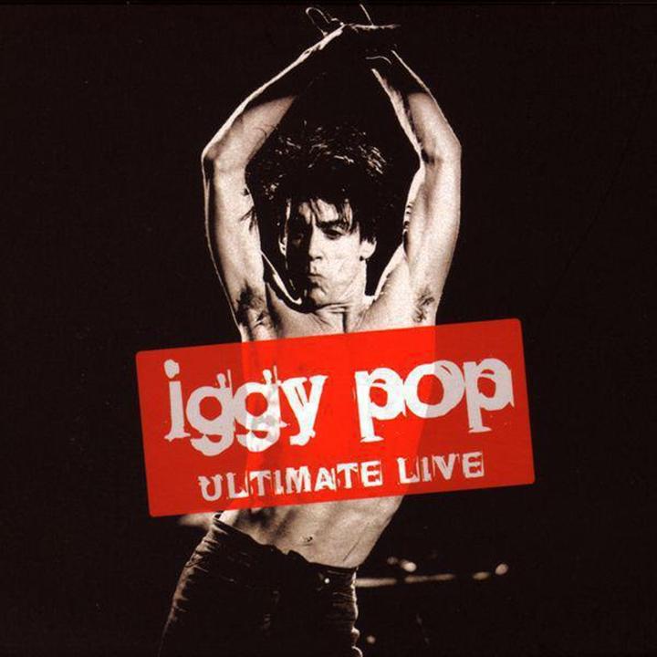 Knocking 'Em Down (In the City)_歌词_Iggy Pop的歌曲_下载汽水音乐