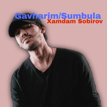 Gavharim - Remix_歌词_Xamdam Sobirov / EYRA Music的歌曲_下载-汽水音乐