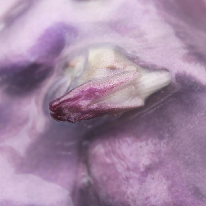 Too Much_歌词_Collarbones的歌曲_下载汽水音乐