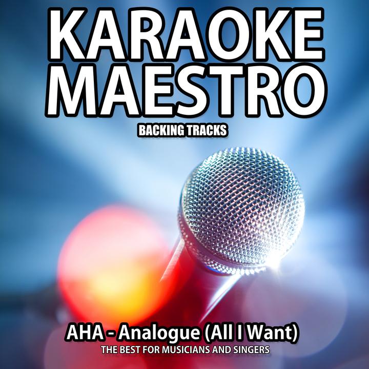 Because I Got High (Karaoke Version) [Originally Performed By Afroman