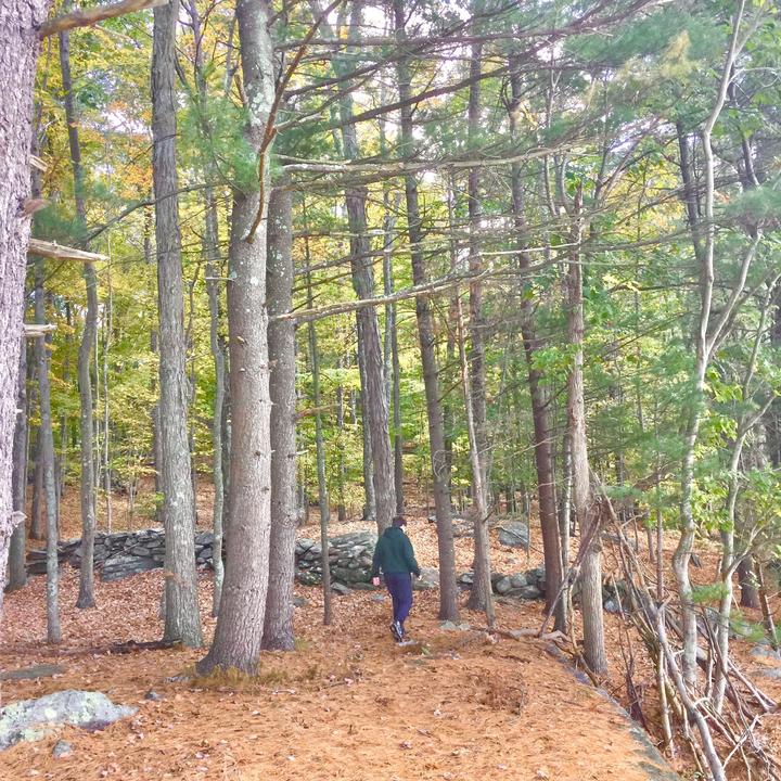 spotlight_歌词_xofilo的歌曲_下载汽水音乐