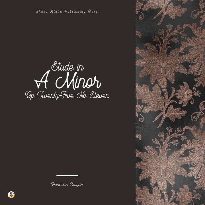 Piano Sonata in B Flat Minor 'funeral March', No. 2 Op. 35 Iii