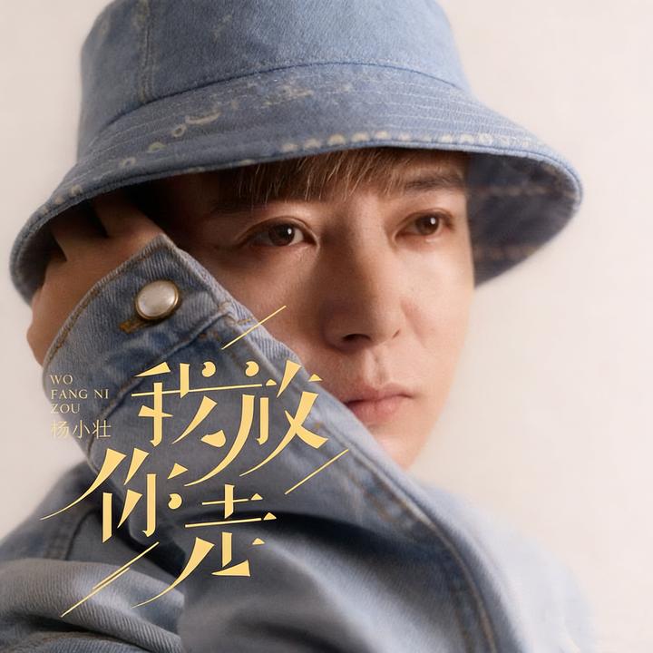 有风的日落(DJ亦辰版)_歌词_杨小壮的歌曲_下载-汽水音乐