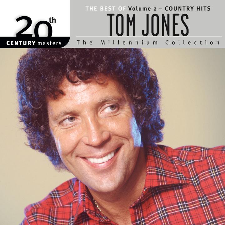 Burning Down The House_歌词_Tom Jones / The Cardigans的歌曲_下载汽水音乐