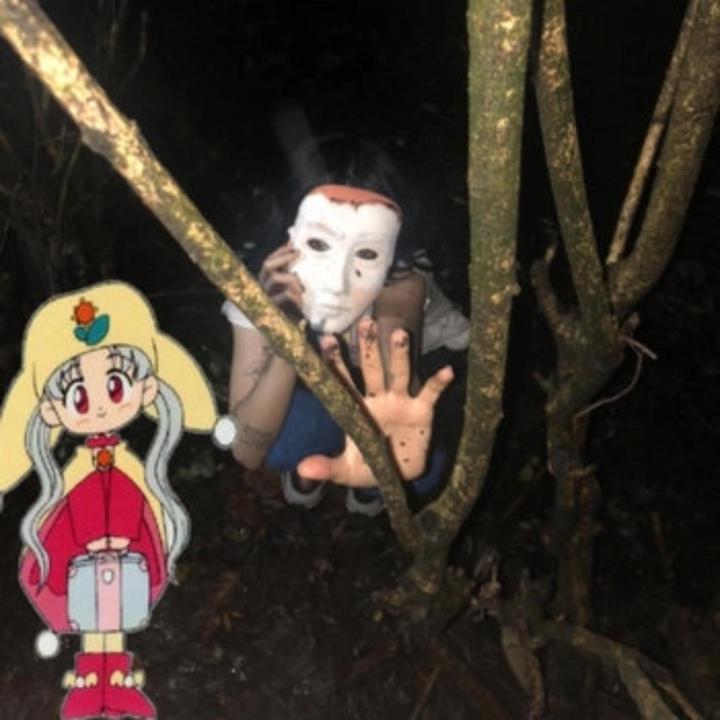 封面
