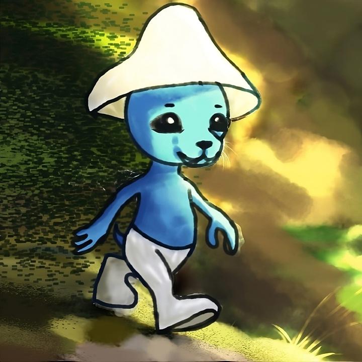 封面