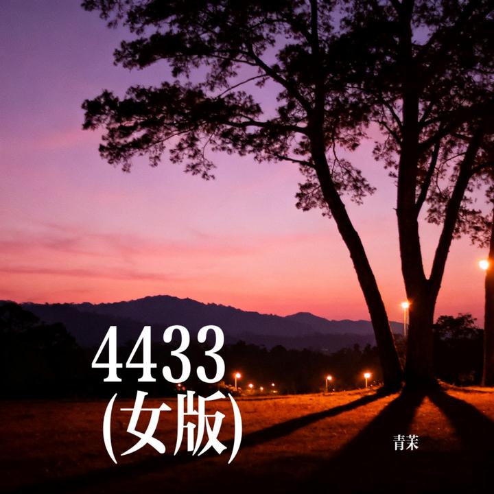 封面