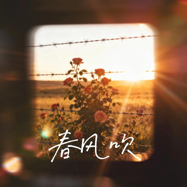 封面