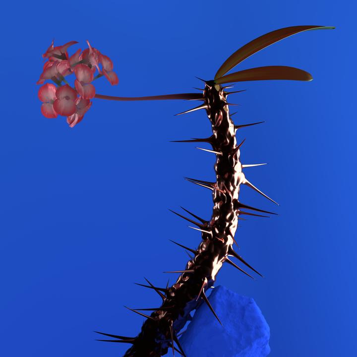 封面