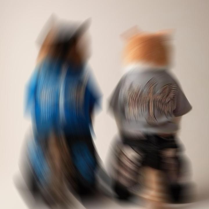 封 面