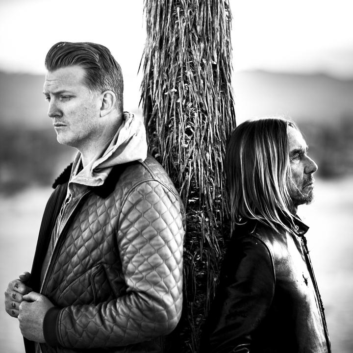 Chains_歌词_Iggy Pop的歌曲_下载汽水音乐