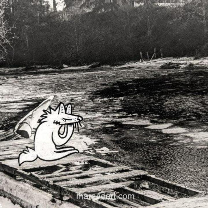 封  面