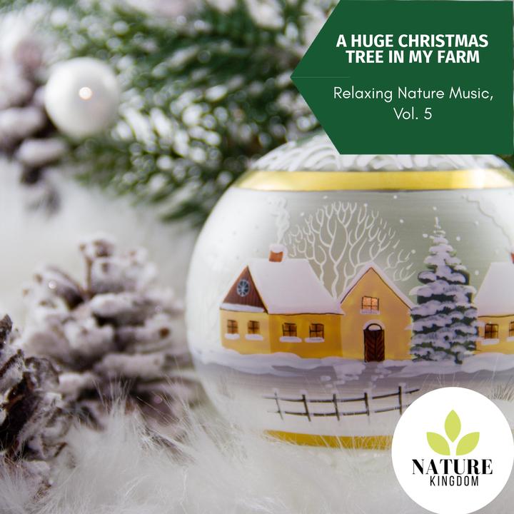 Mountain Insects_歌词_Lisa Wilson的歌曲_下载-汽水音乐