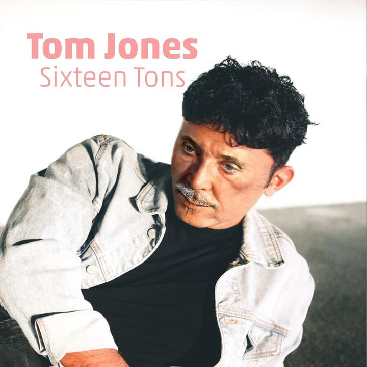 Promise Her Anything_歌词_Tom Jones的歌曲_下载汽水音乐