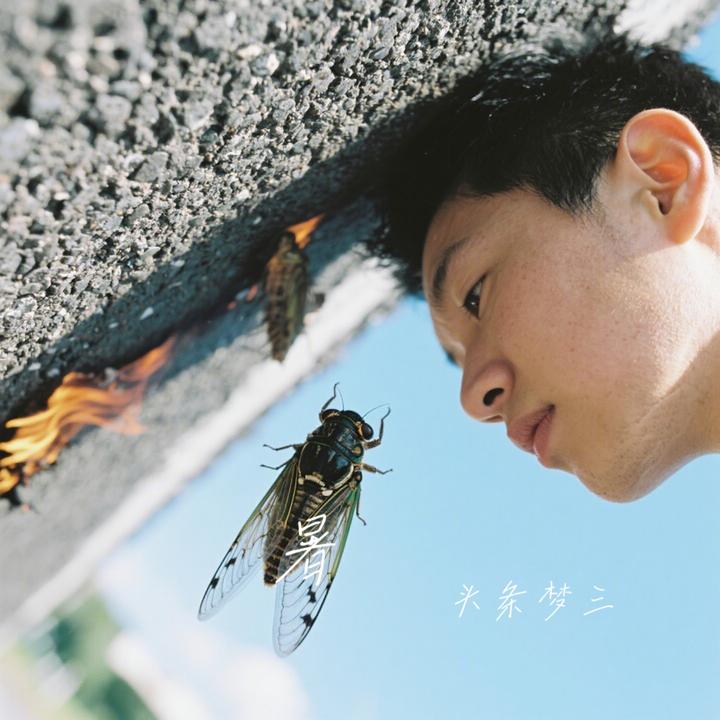 封面