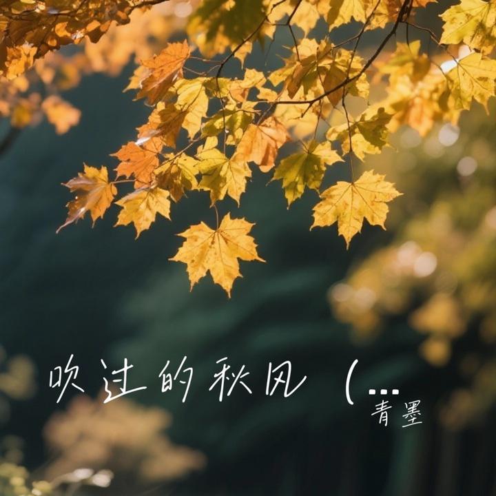 封面