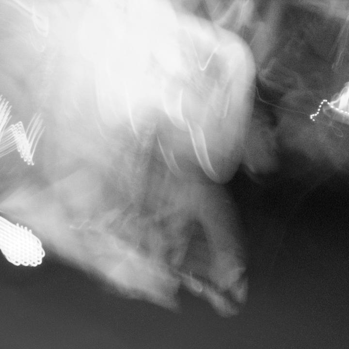 There Aren't Any Beaches In Omaha_歌词_Young Astronauts Club的歌曲_下载汽水音乐