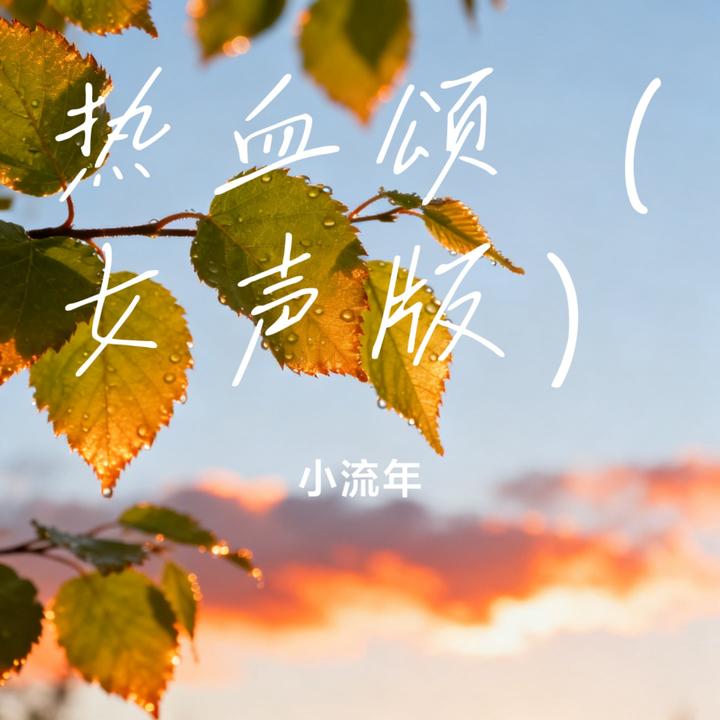 封面