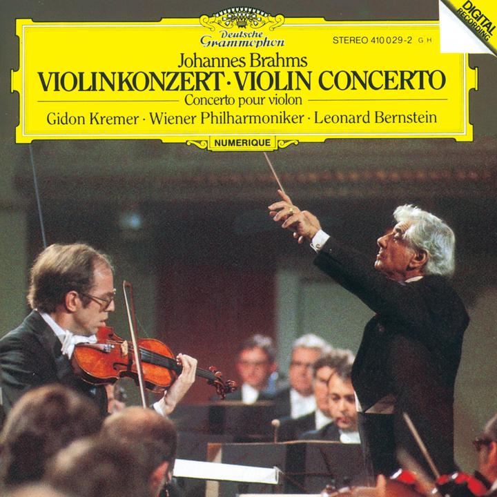 The Blue Danube Waltz, Op. 314_歌词_Leonard Bernstein的歌曲_下载汽水音乐