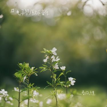 封面