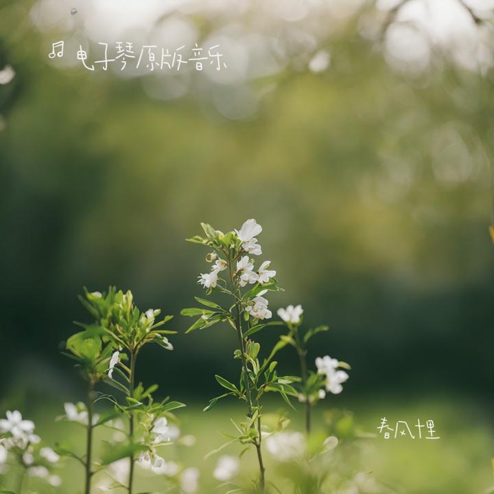 封面