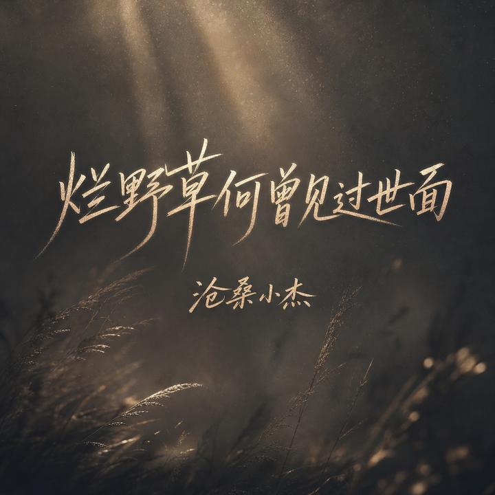 封面
