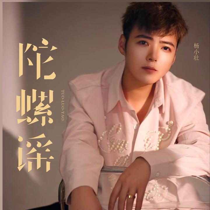 有风的日落(DJ亦辰版)_歌词_杨小壮的歌曲_下载-汽水音乐
