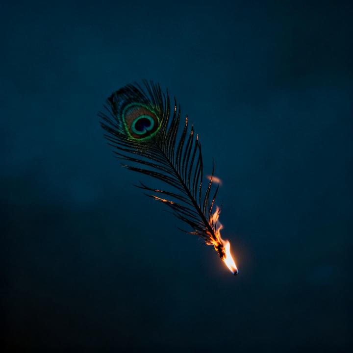 封面